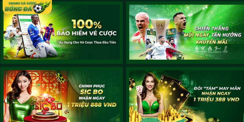 Các chương trình hỗ trợ dành cho thành viên mới