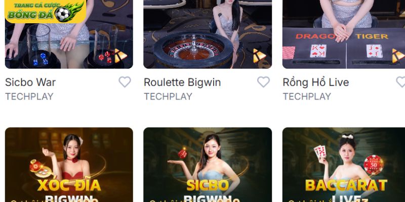Danh mục sản phẩm cá cược phong phú tại Nhà cái
