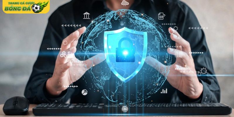 Dữ liệu tự động thu thập khi truy cập