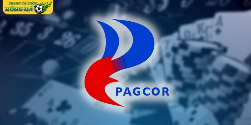 Giấy phép kinh doanh và cơ sở pháp lý liên quan