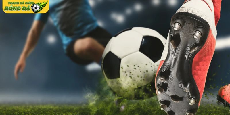 Giới thiệu về kèo chấp 0.5 trong cá cược bóng đá