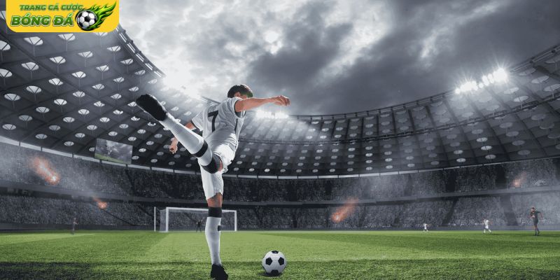 Hỗ trợ theo dõi lịch thi đấu và bảng xếp hạng dễ dàng