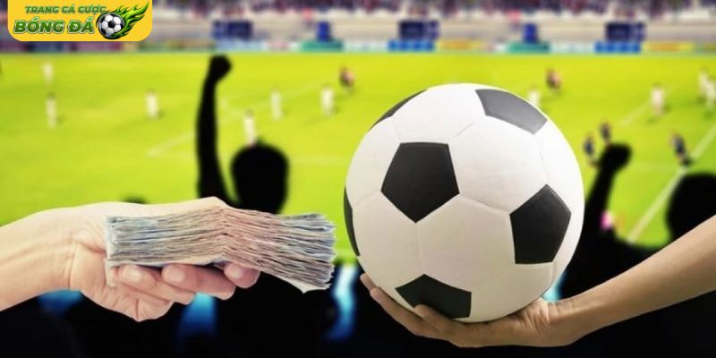 Lợi ích lâu dài của cá cược bền vững