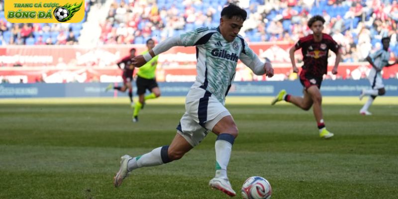 Phân tích bản chất của kèo cược Rung