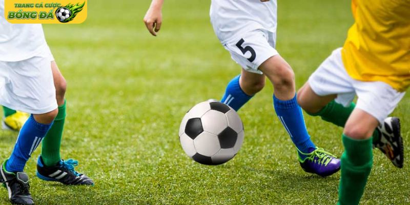 Phân tích bản chất kèo chấp 0.5