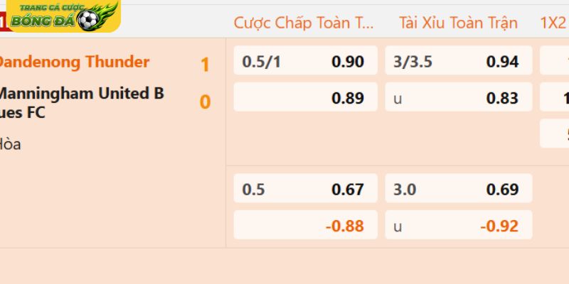 Quản lý hệ thống dữ liệu tỷ lệ kèo