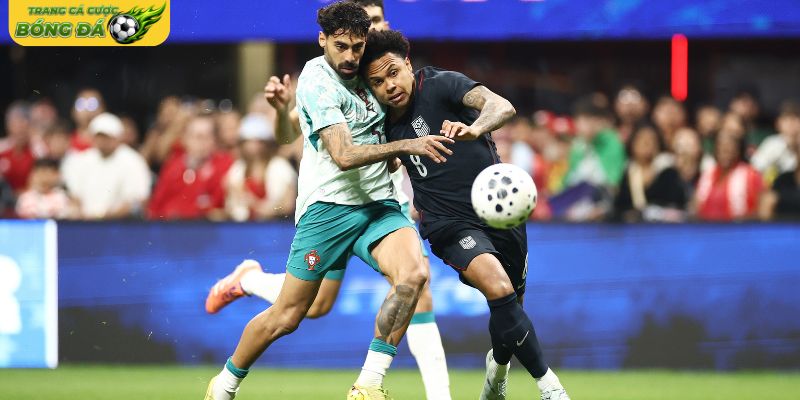 Quan sát lịch trình thi đấu cùng mật độ trận đấu