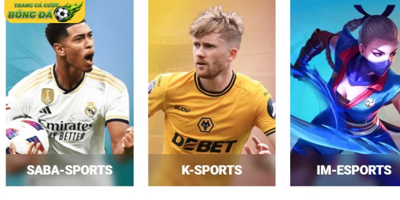 Quy định thời gian và phạm vi áp dụng