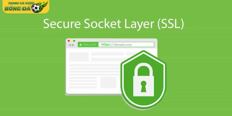 SSL mang đến lớp bảo vệ cho toàn bộ dữ liệu