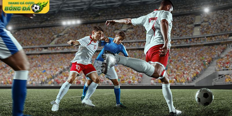 Theo dõi giải đấu và đặc điểm từng sân chơi