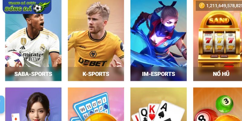 Thiết kế giao diện thân thiện và tối ưu đa thiết bị