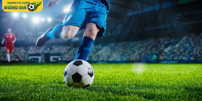 Tổng hợp các loại kèo tài xỉu được sử dụng phổ biến